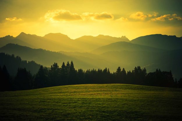 CONSERVATION EASEMENTS