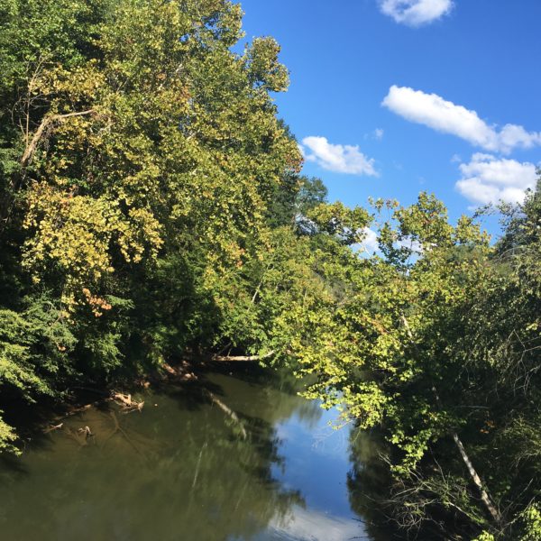 gville1