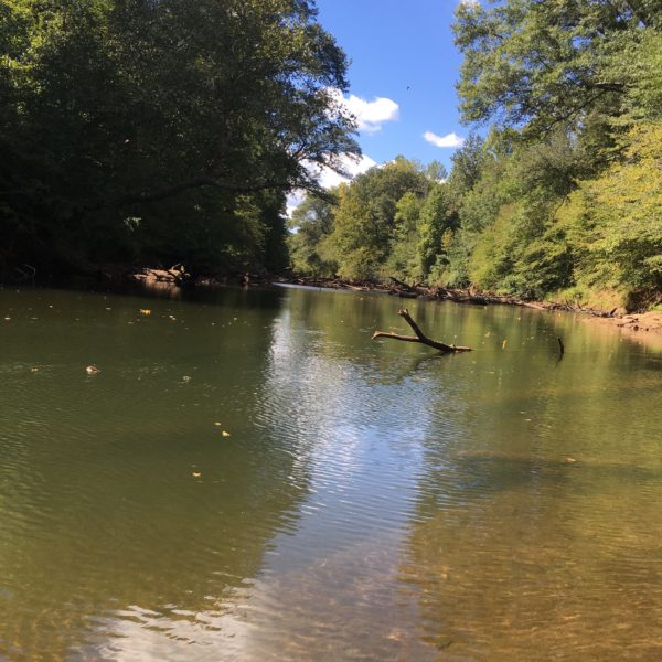 River West, river River West river