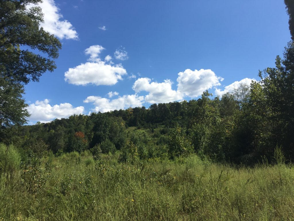 River West land