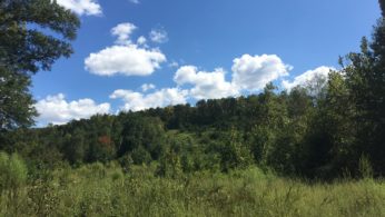River West land