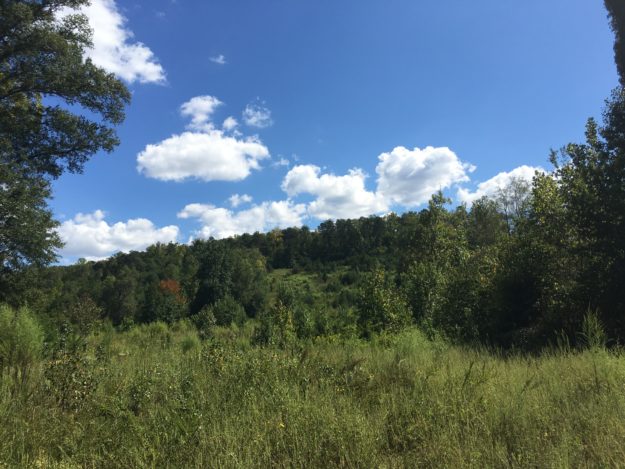 River West land