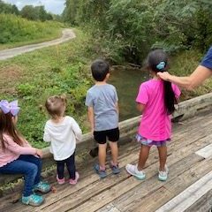 Nature Day 2020